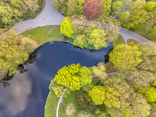 Aerial view of healthy trees surrounding a lake cared for by tree companies in Barnegat